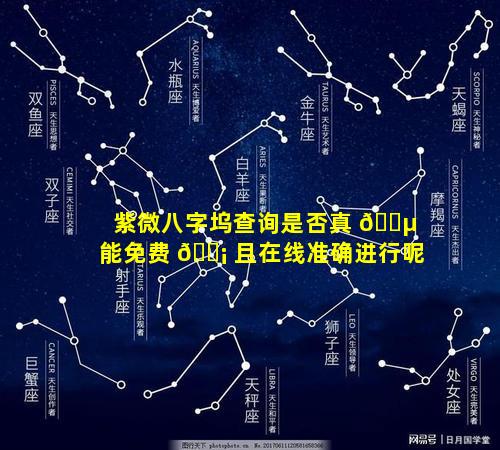 紫微八字坞查询是否真 🐵 能免费 🐡 且在线准确进行呢